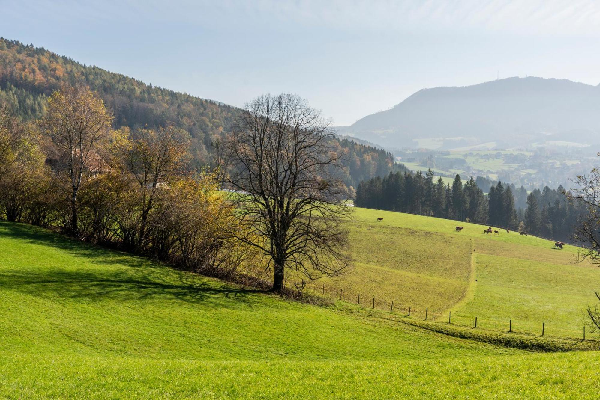 Ferienwohnung Am Labyrinth Semriach Екстериор снимка
